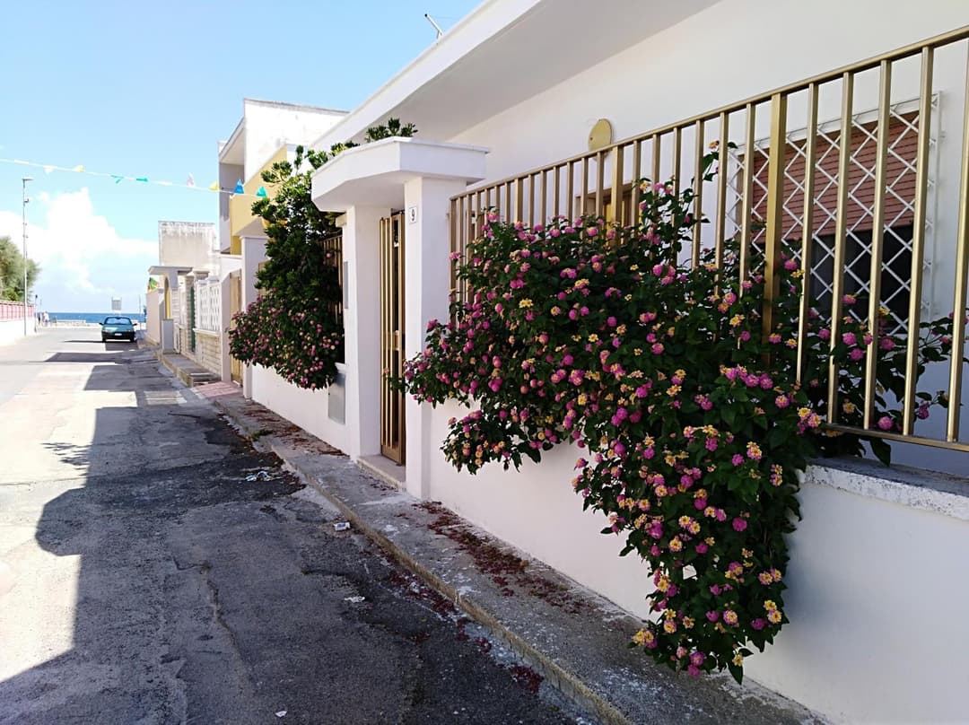 La Nassa Salento — photo 1 of 1