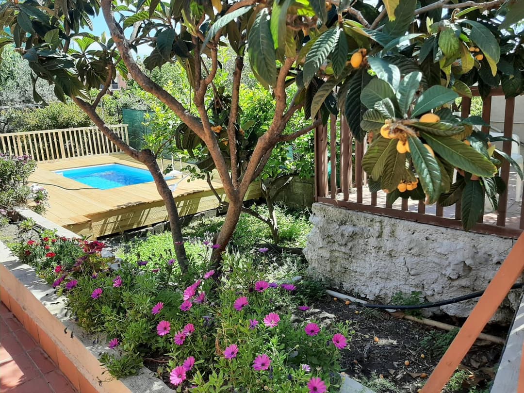 Carrubo - Giardino in città — photo 1 of 1