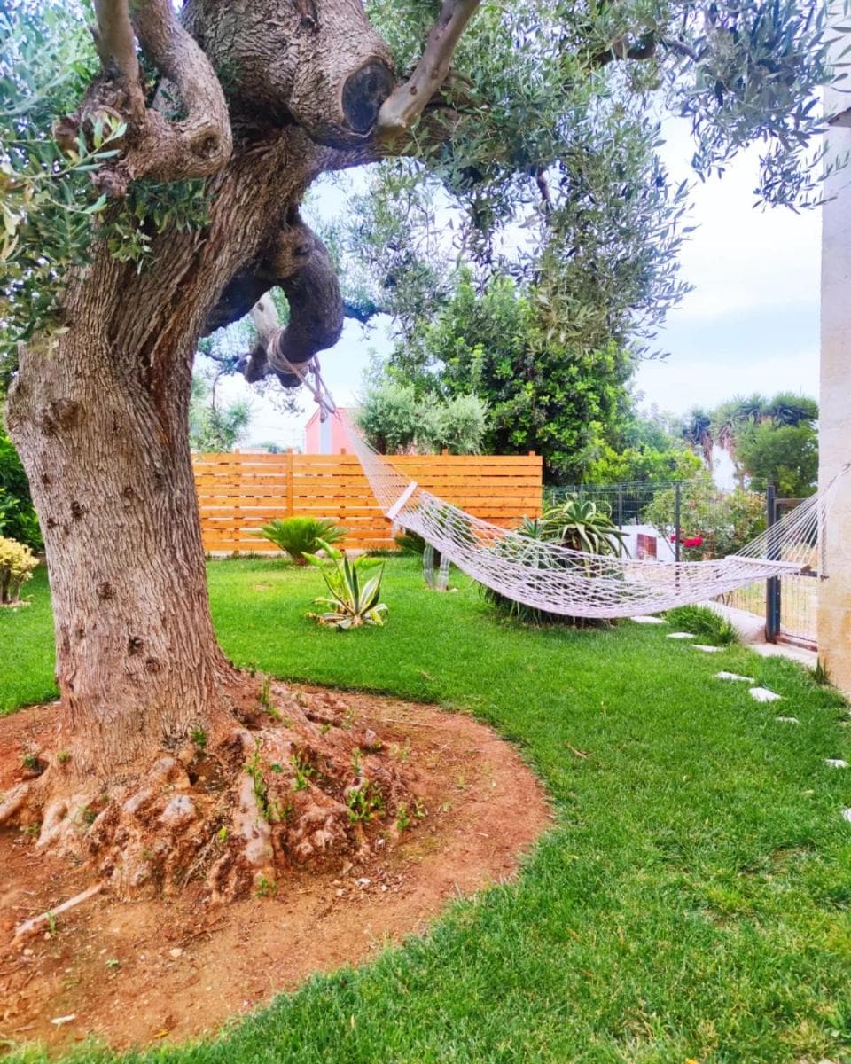 La casa di Nonno — photo 1 of 1