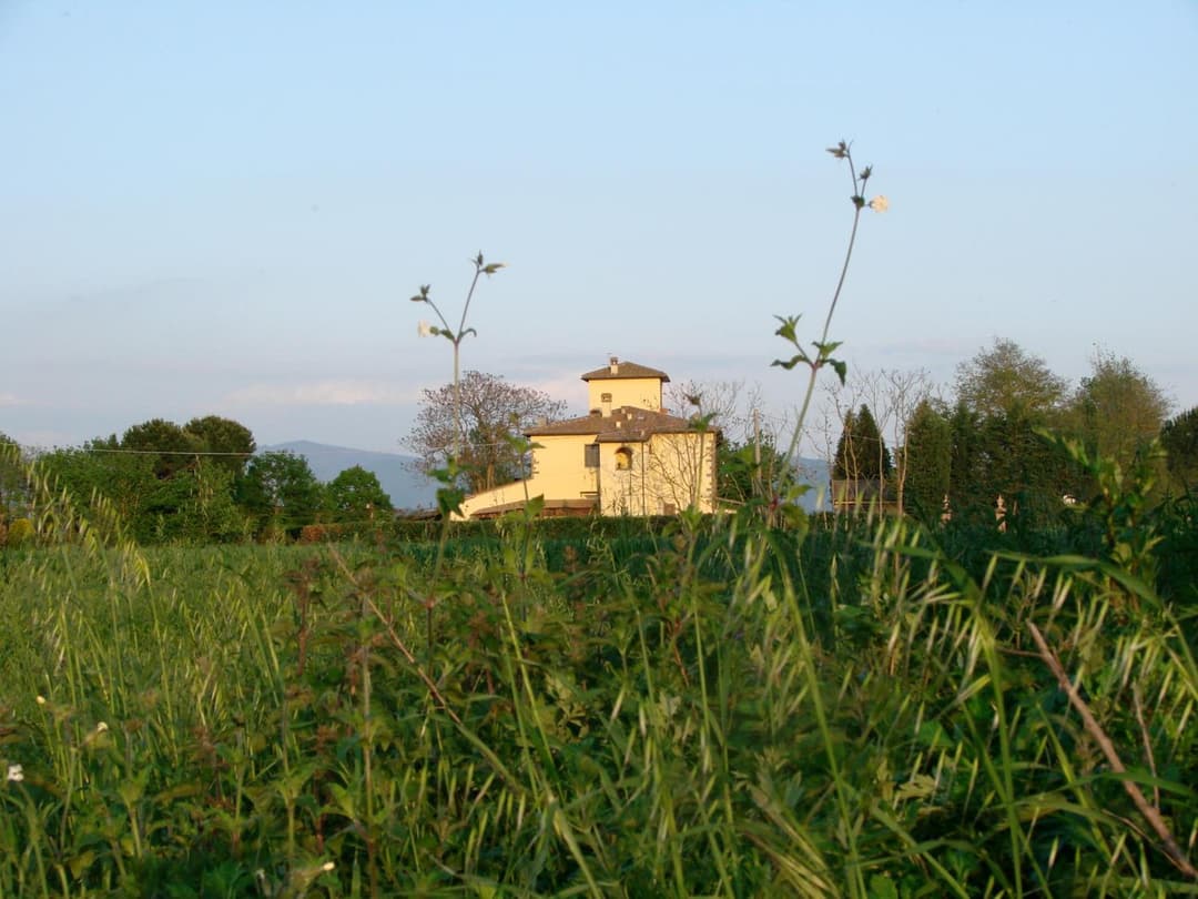 Agrisalotto — photo 1 of 1