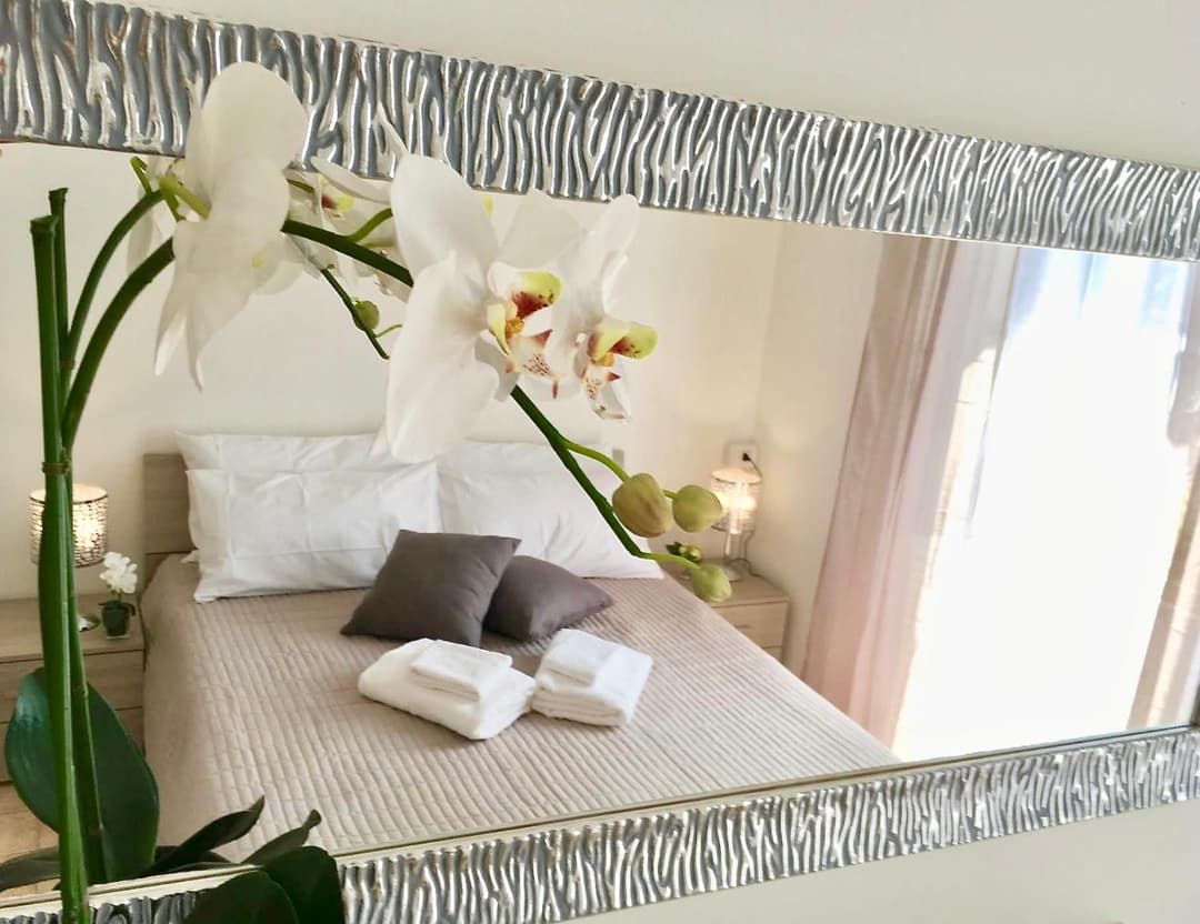 Orchidea in Centro — photo 1 of 10