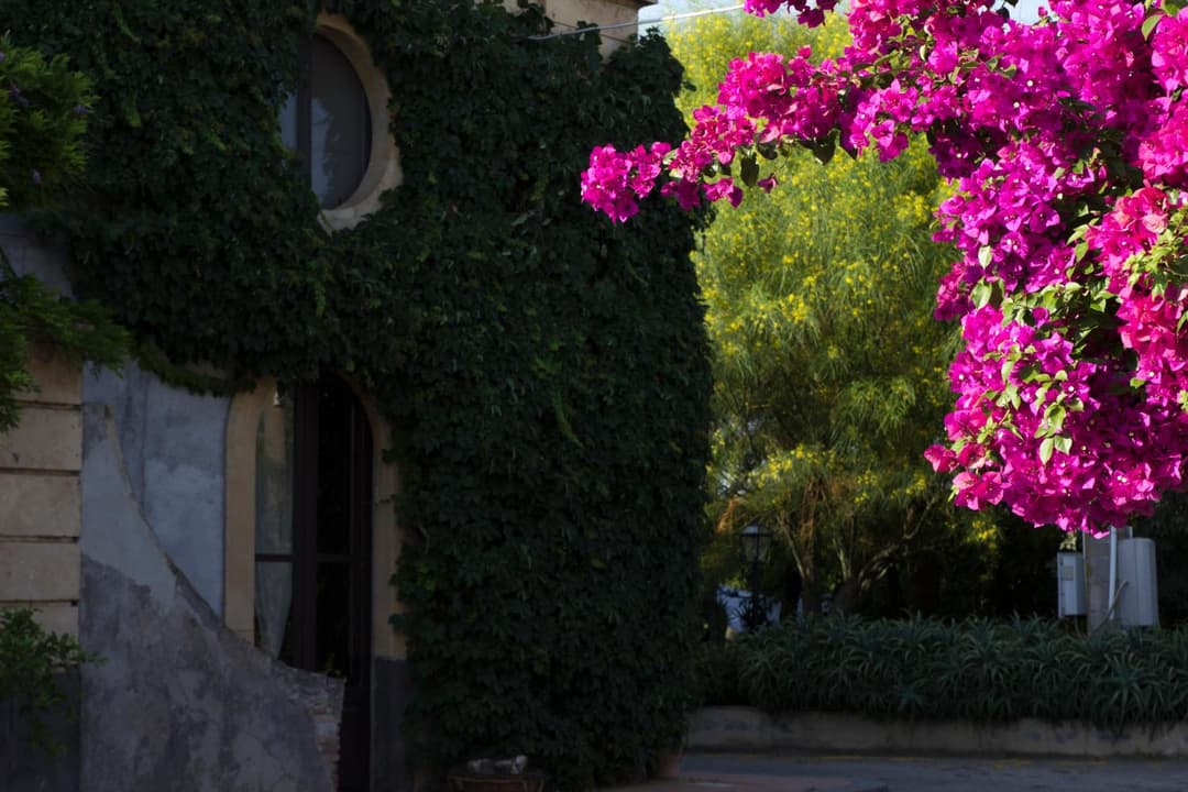 Tenuta del Gelso — photo 1 of 1