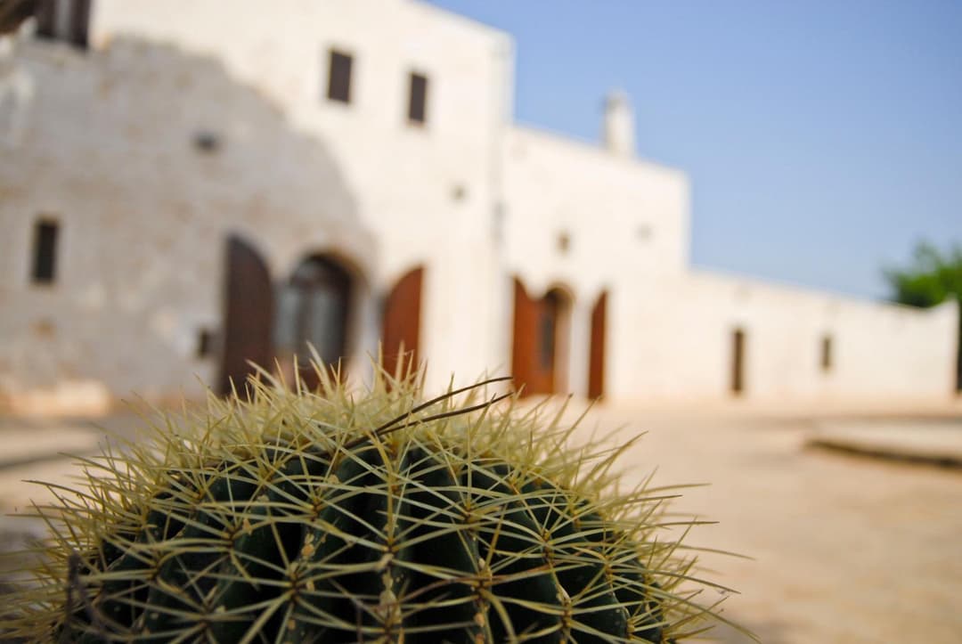 Masseria Valente — photo 1 of 1