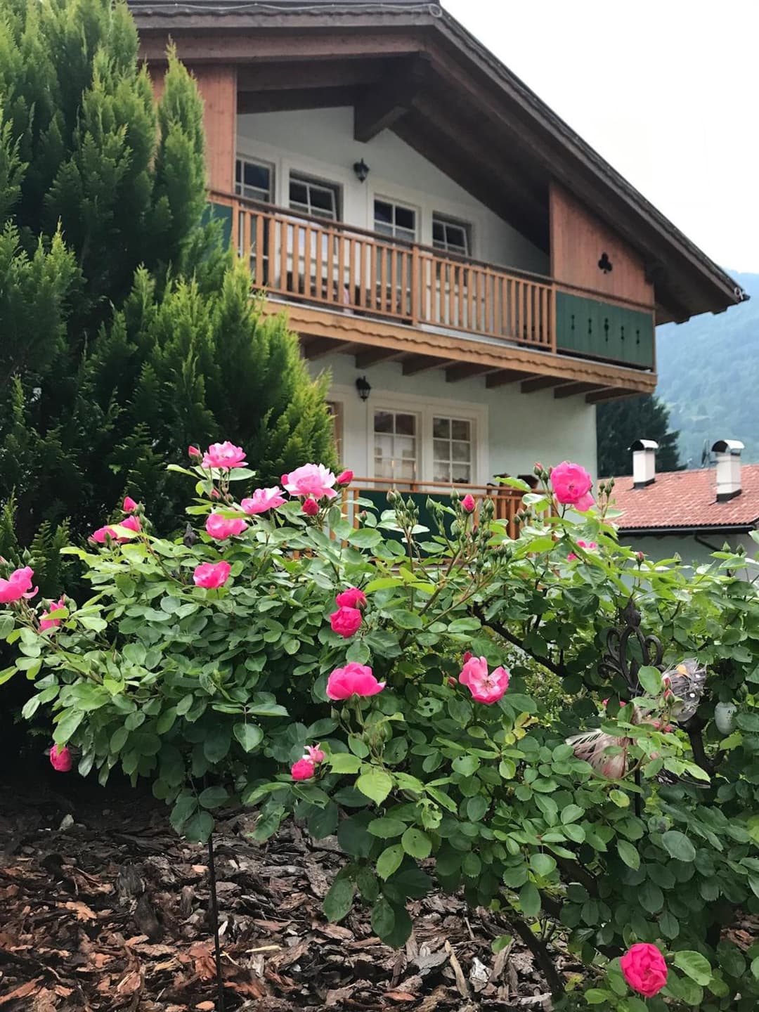 La Casa Verde — photo 1 of 1