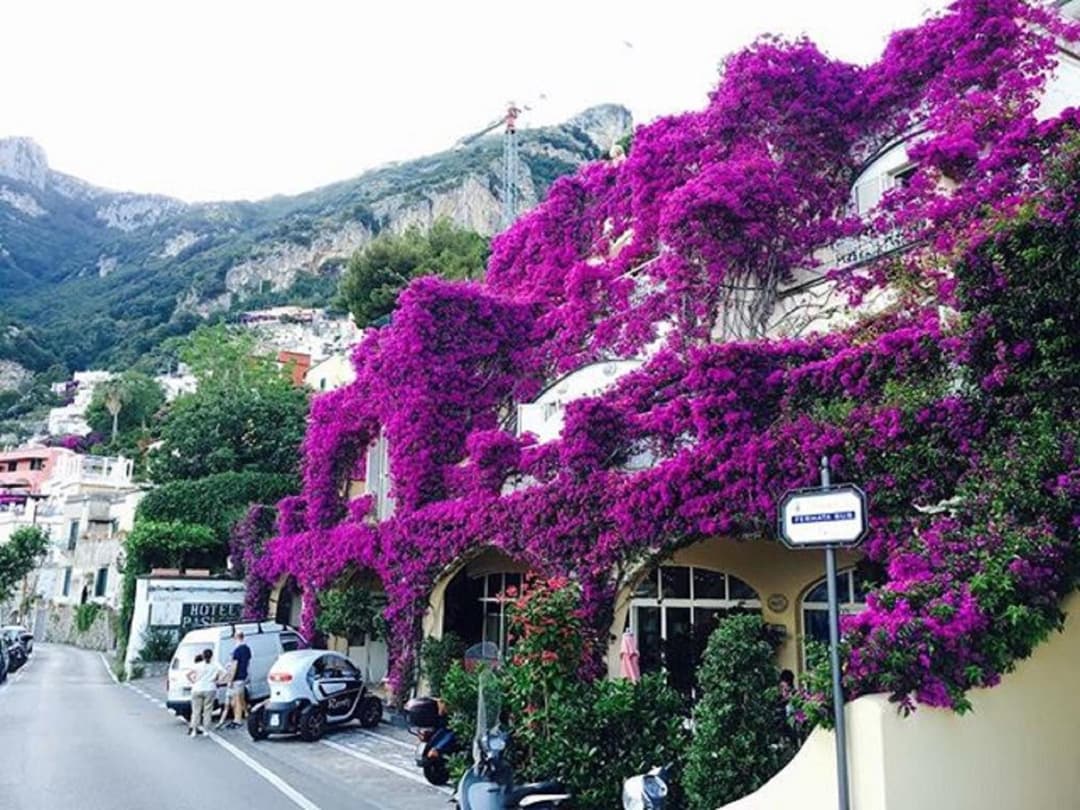 Positano Art Hotel Pasitea — photo 1 of 1