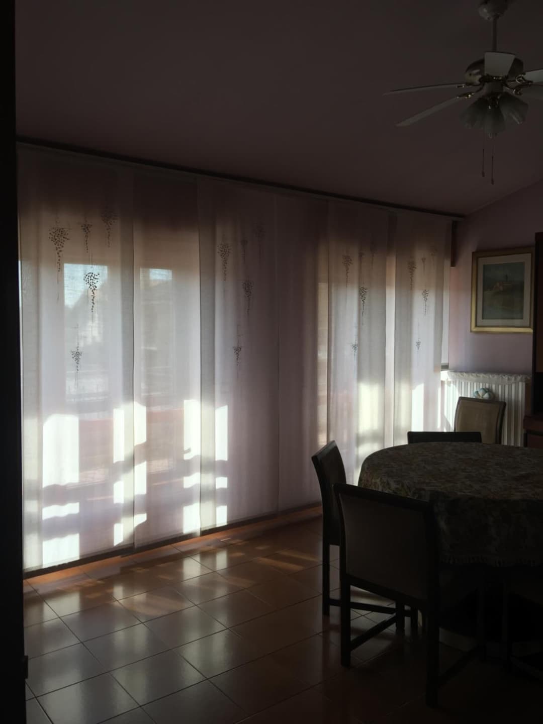 Magenta — photo 1 of 10