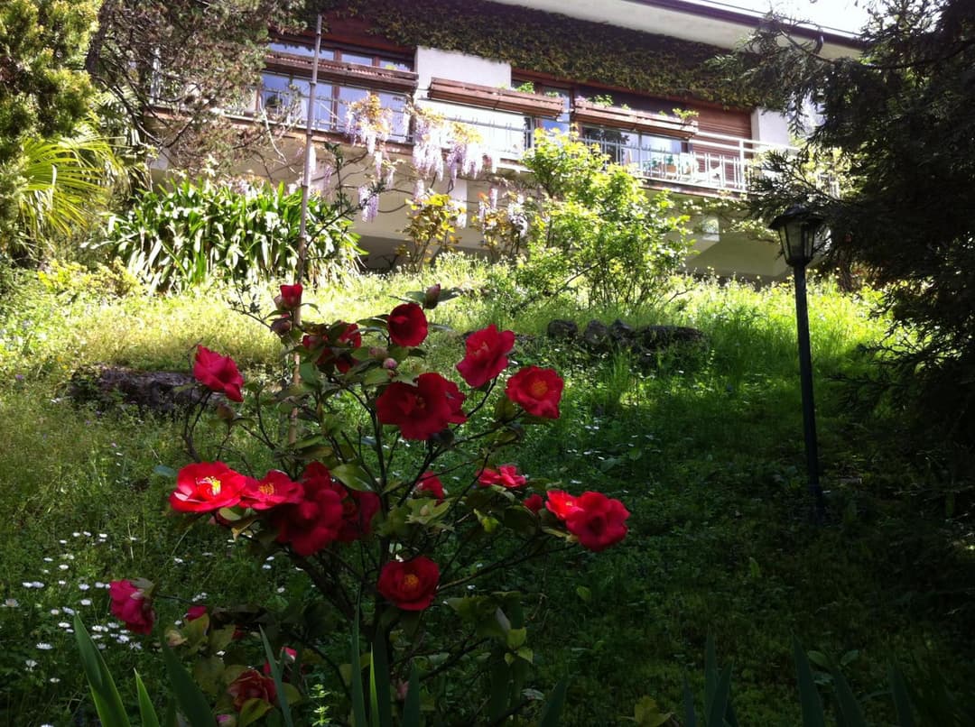 B&B Le Ortensie -Lago di Como — photo 1 of 1