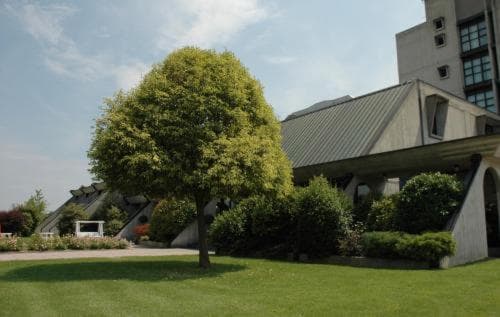 Hotel Cavallino — photo 1 of 20