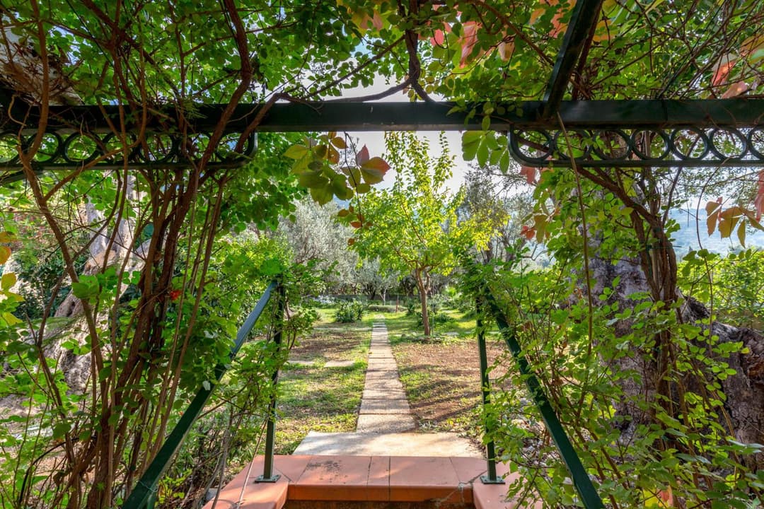 Villa Violetta — photo 1 of 1