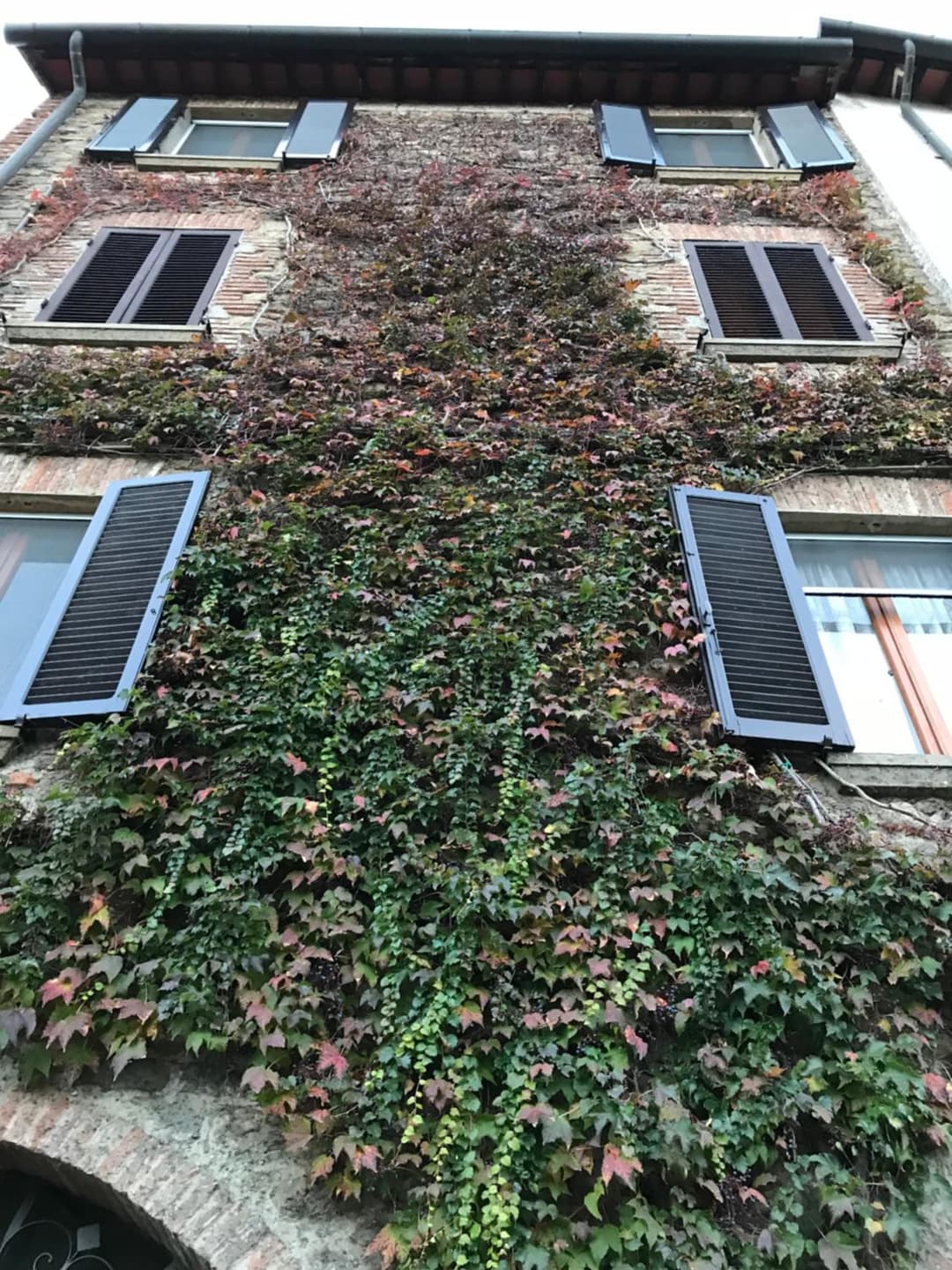 Tre Girasoli — photo 1 of 1