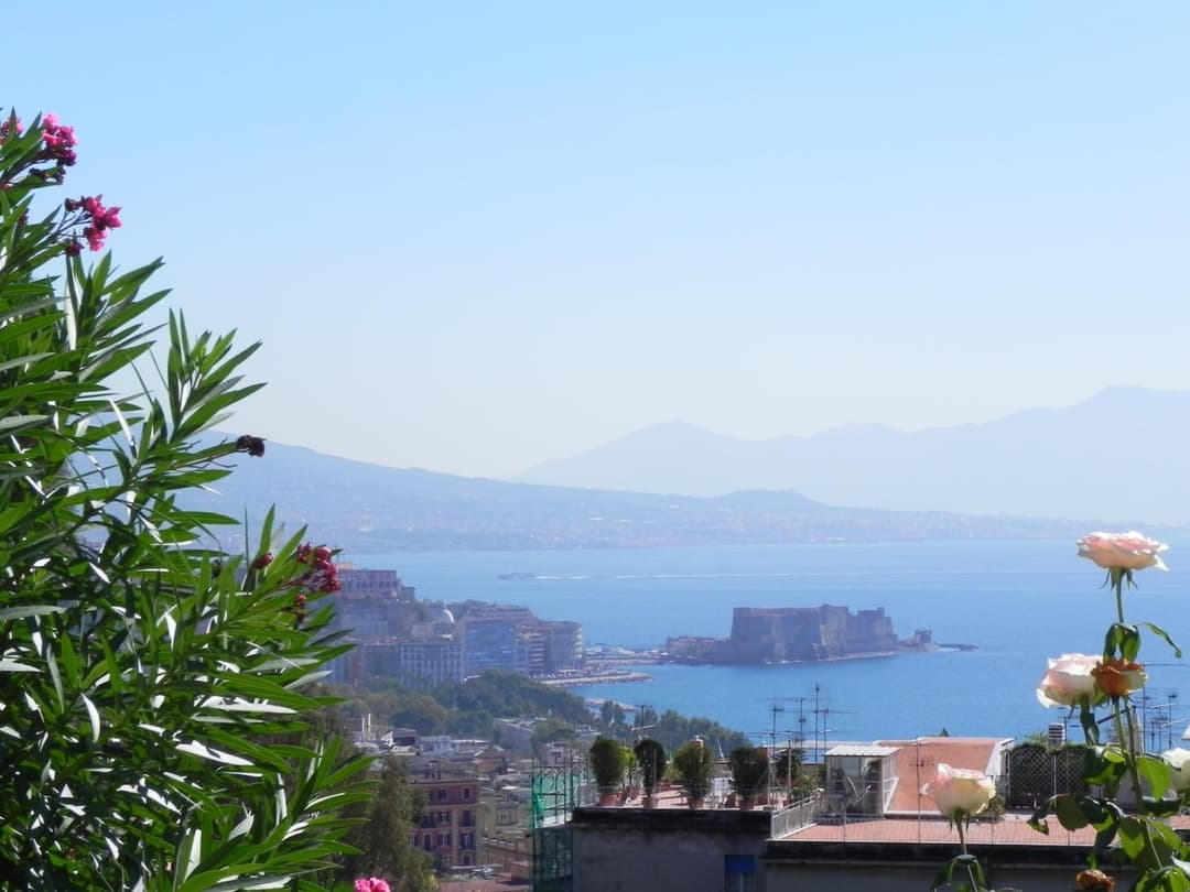Casa Rosa - Sea View & Terrace Apartment — photo 1 of 1