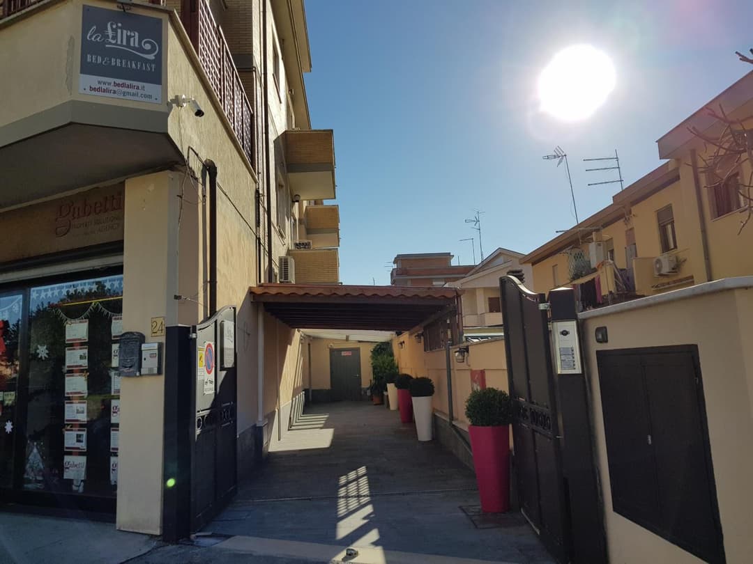 La Lira — photo 1 of 1