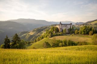 Schlossblick