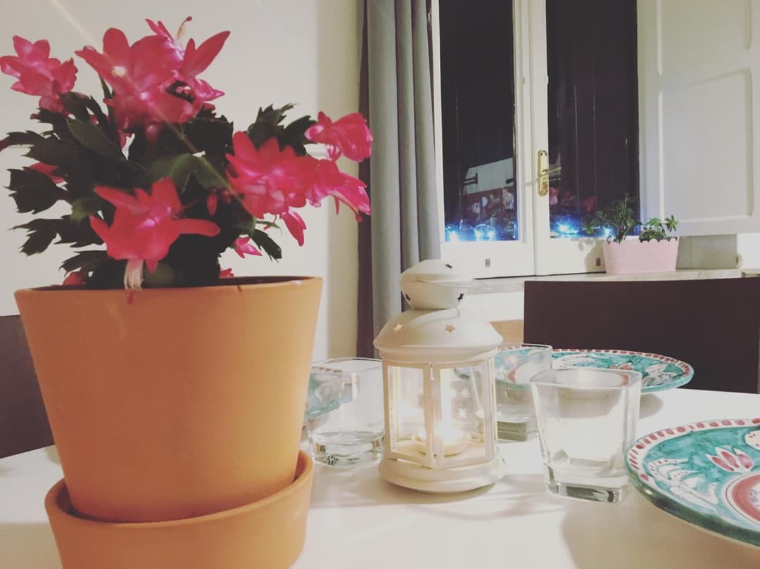 Casa Maria — photo 1 of 1