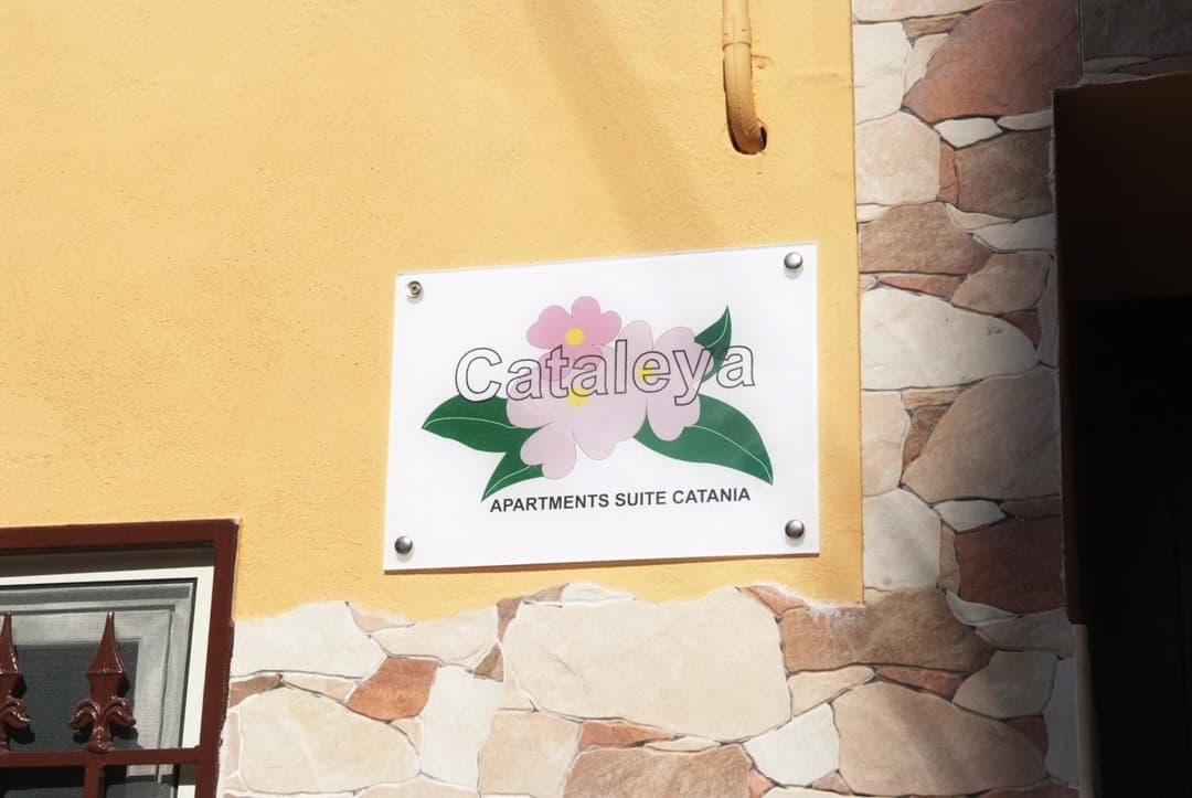 Cataleya — photo 1 of 1