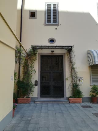Faenza Novella