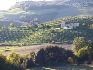Agriturismo Podere Campaini