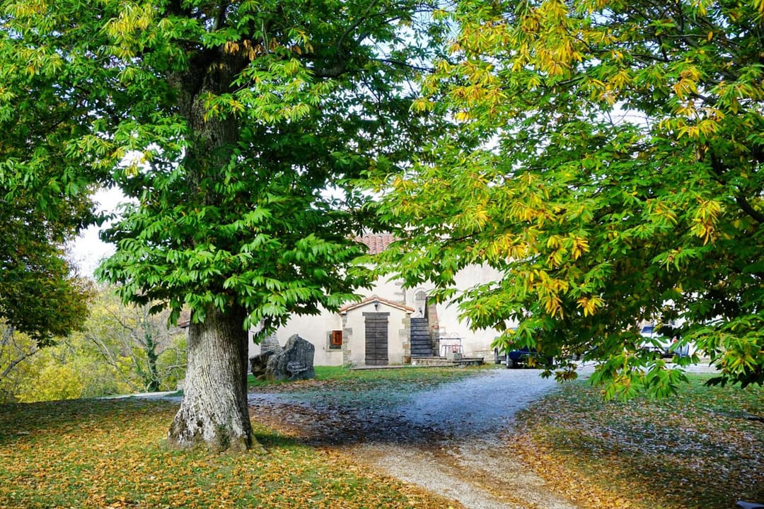 Agriturismo Bio I Rondinelli — photo 1 of 1