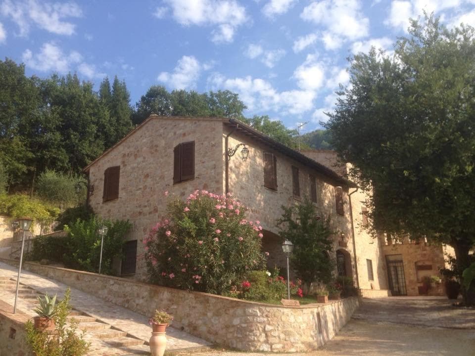 Il renaiolo — photo 1 of 1