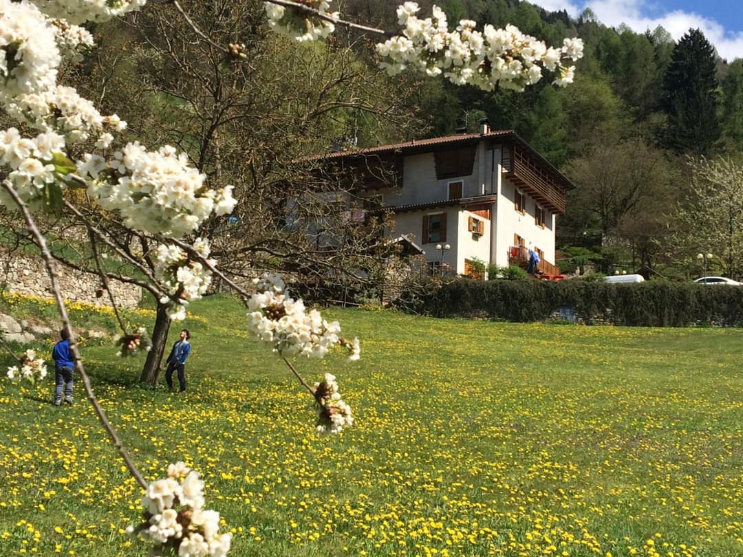 B&B Maso Zont Antico Maso — photo 1 of 1
