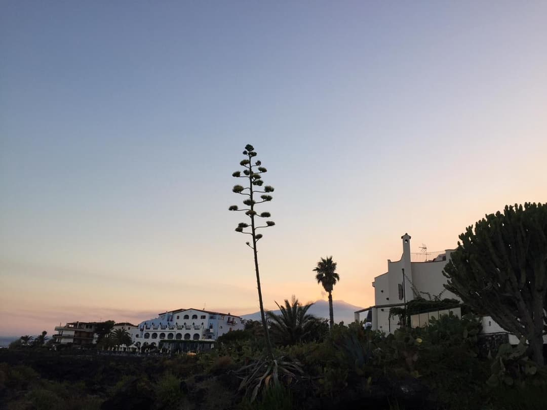 Villa Maria — photo 1 of 1