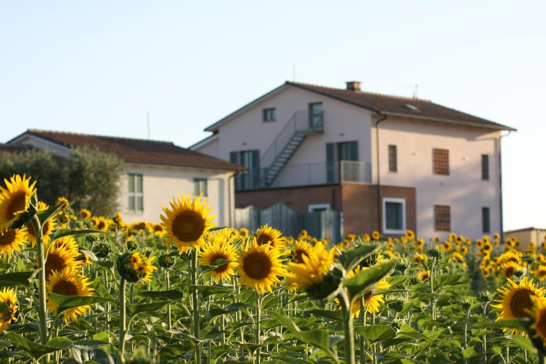 La Collina del Girasole — photo 1 of 1