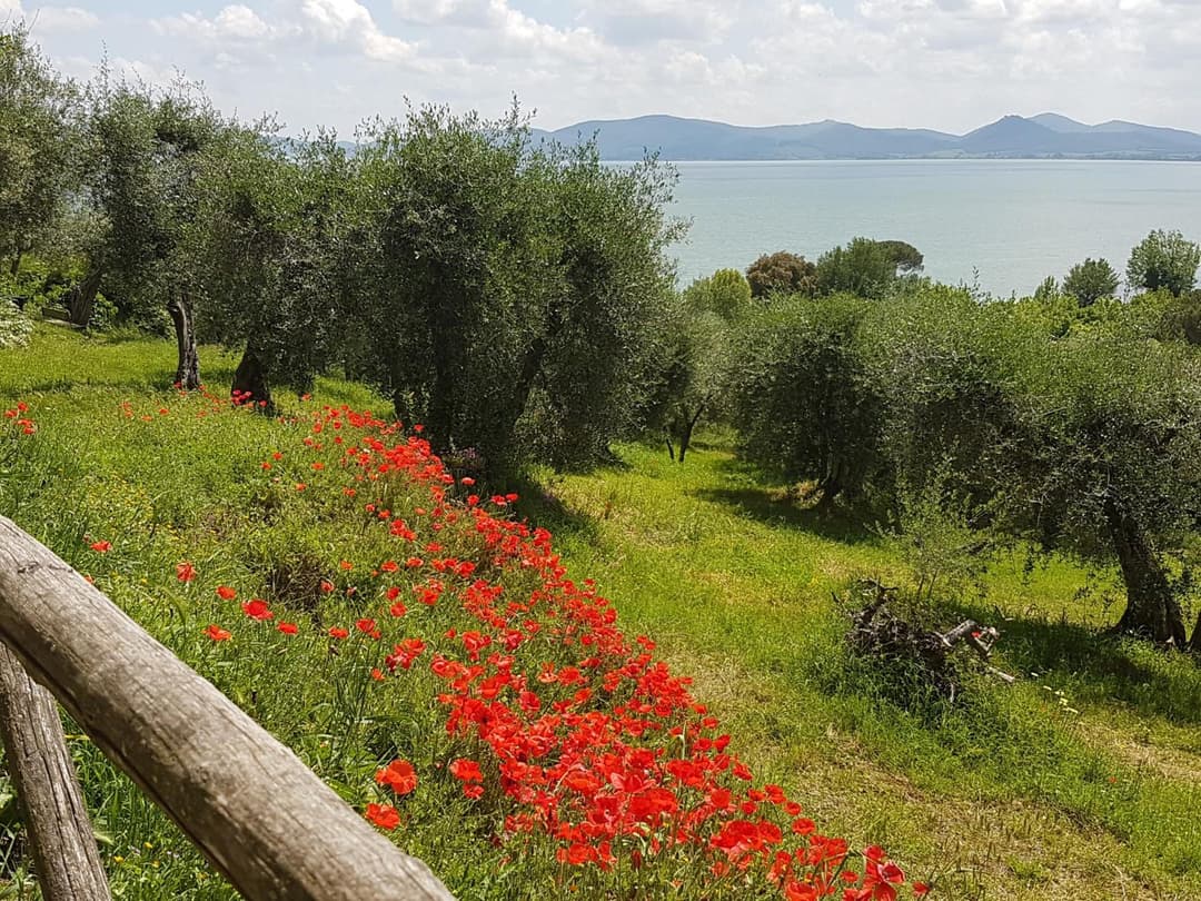Antica casa di famiglia — photo 1 of 1
