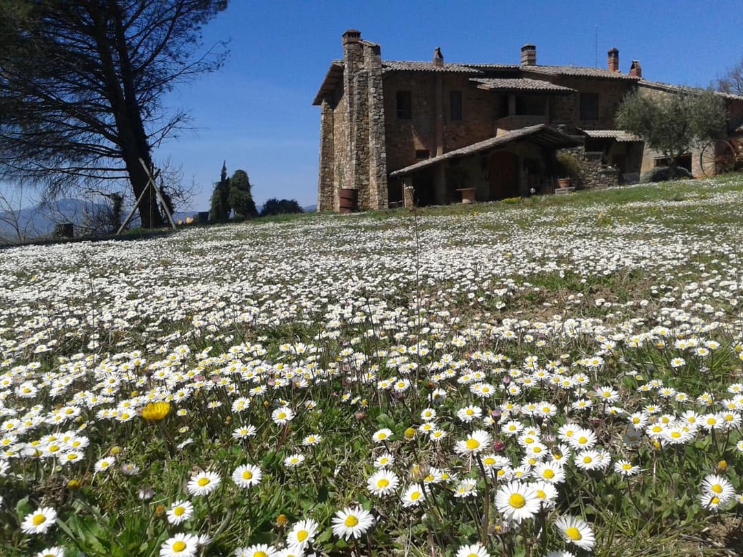 Agriturismo Le Roghete — photo 1 of 1
