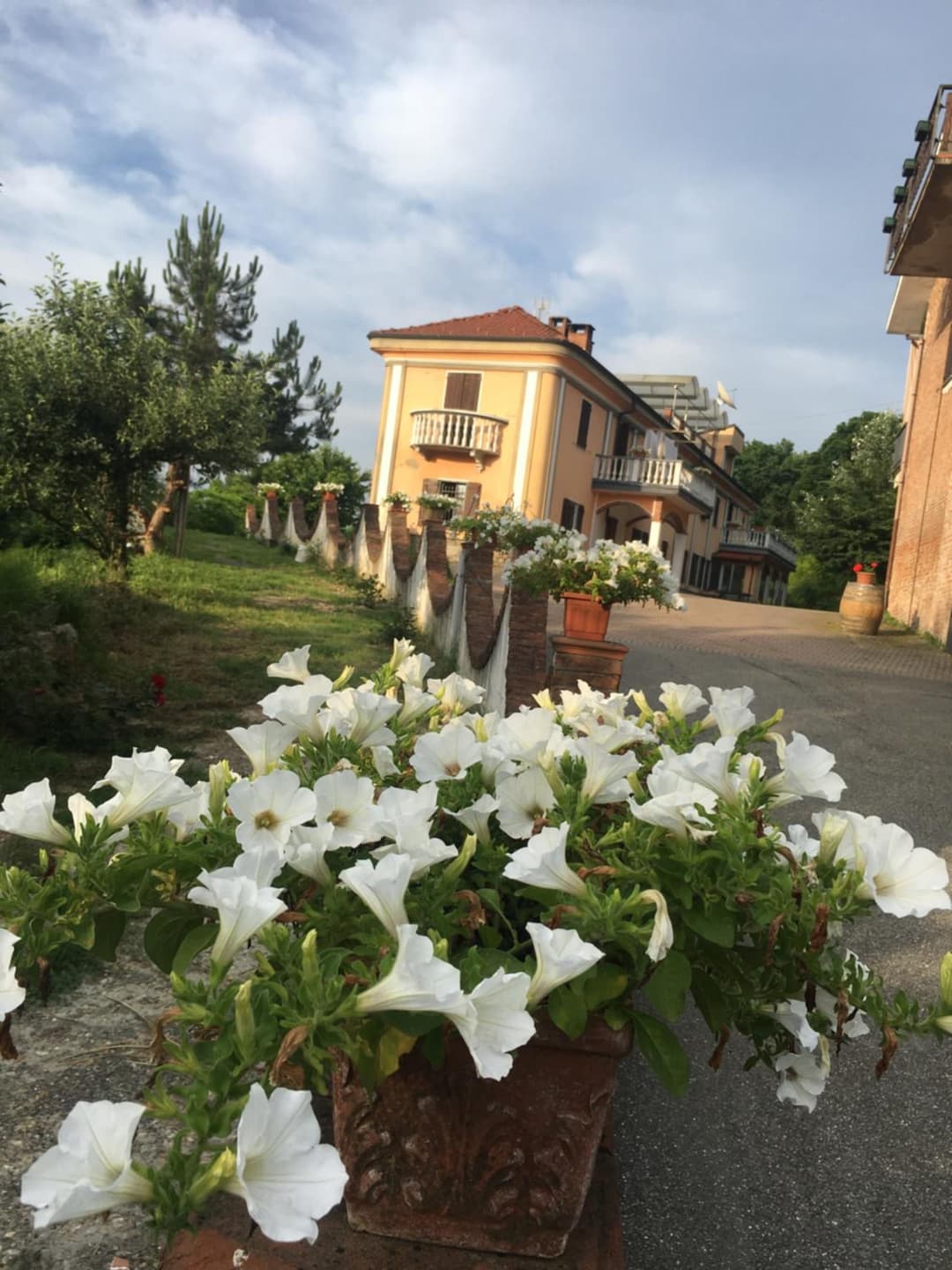 Rossella alla Villarella dei Tulipani — photo 1 of 144