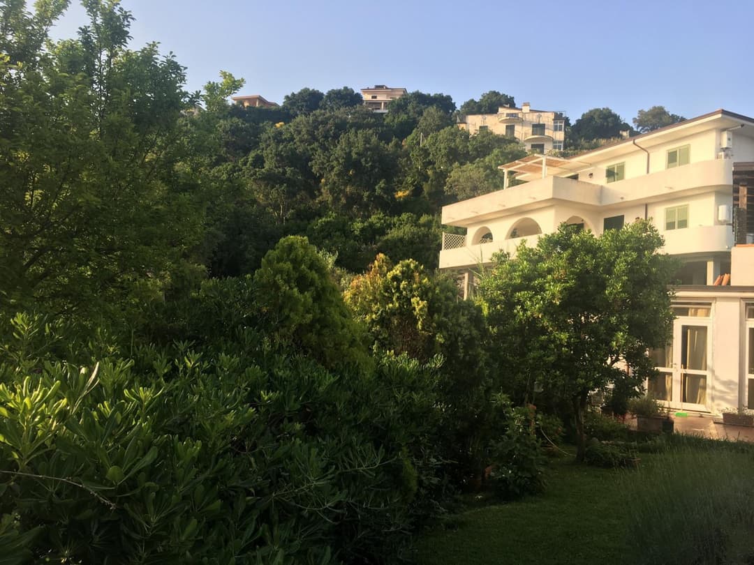 La Bouganville — photo 1 of 1