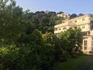 La Bouganville