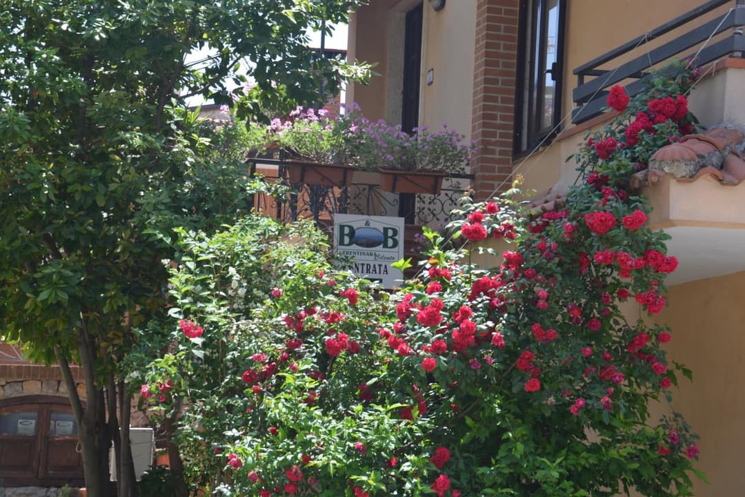 Trentinara Cilento — photo 1 of 1