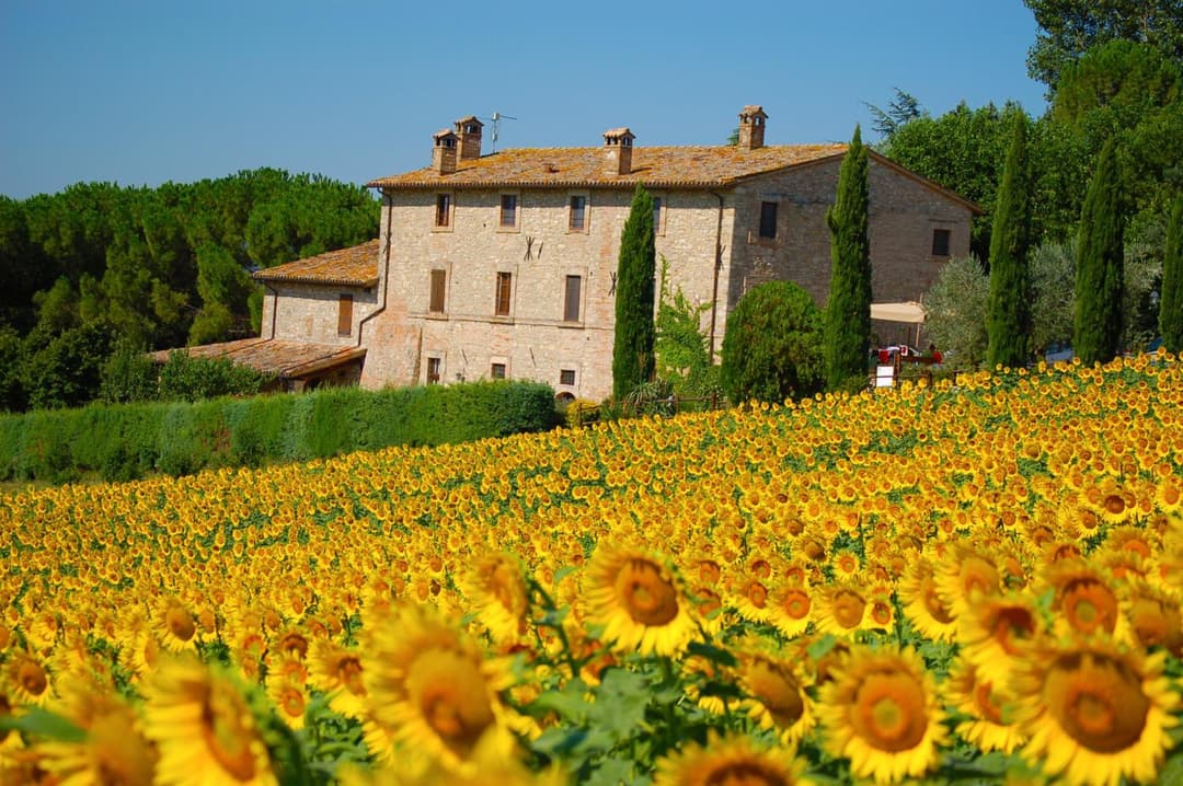 Agriturismo Casale Dei Frontini — photo 1 of 1