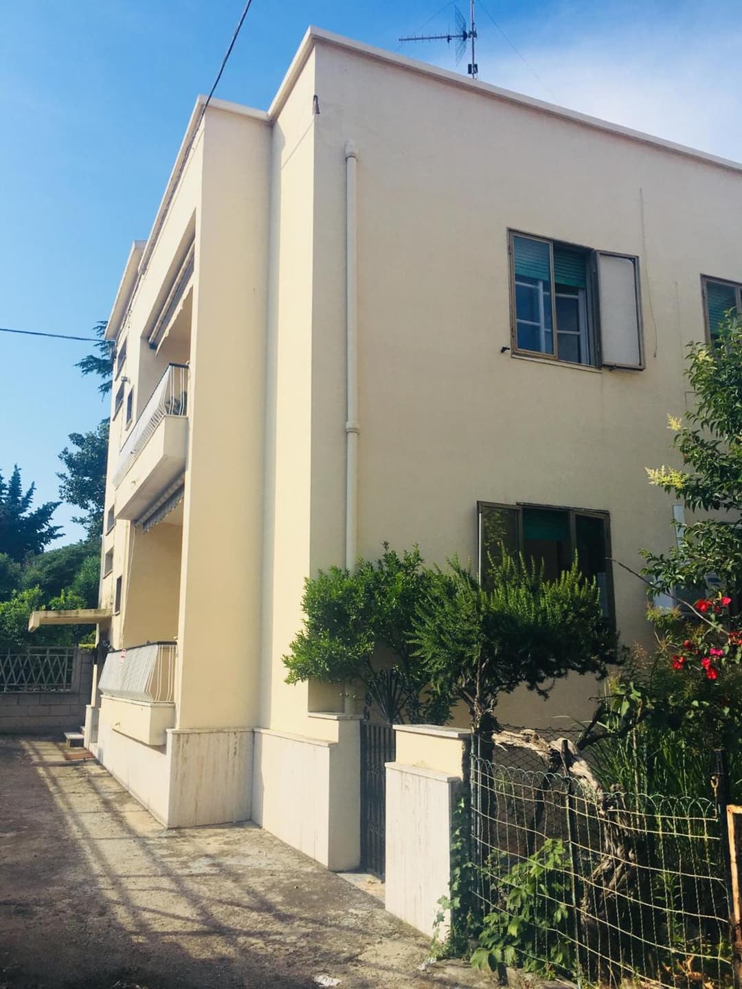 Ciao MARE — photo 1 of 43