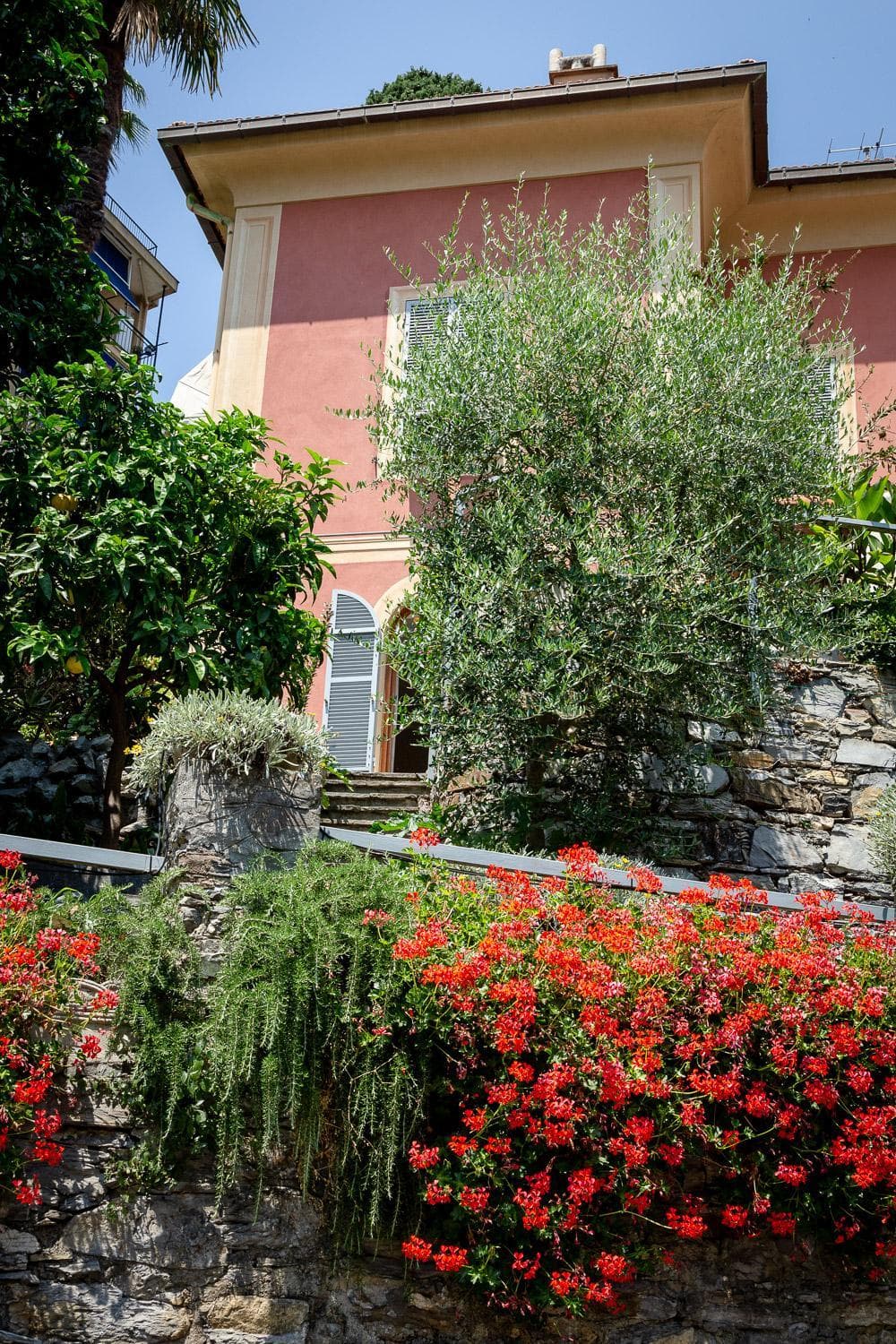 Apartment Villa Bruna Rapallo — photo 1 of 54