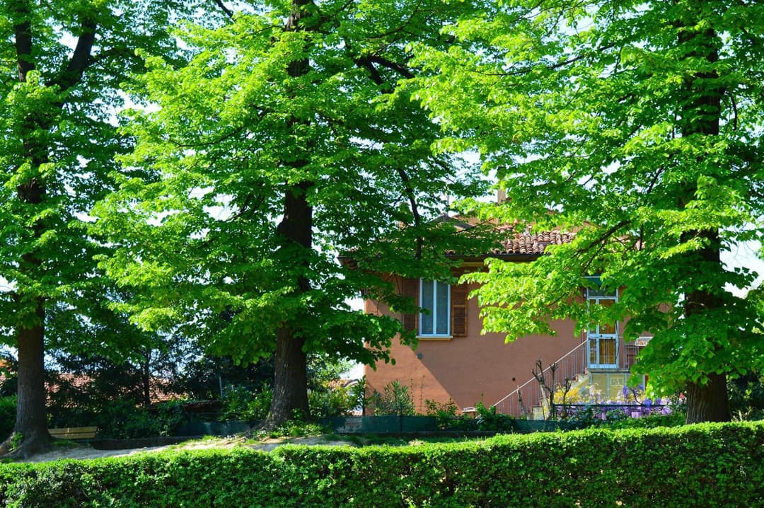 Il Giardino Nel Parco R&B — photo 1 of 1