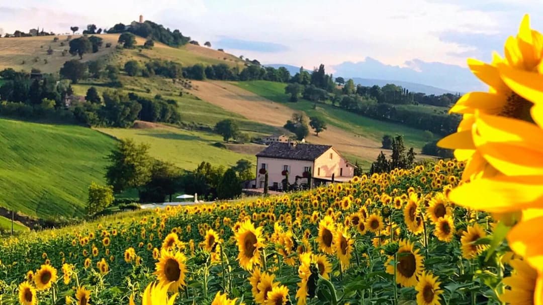 Casale delle Rondini — photo 1 of 1