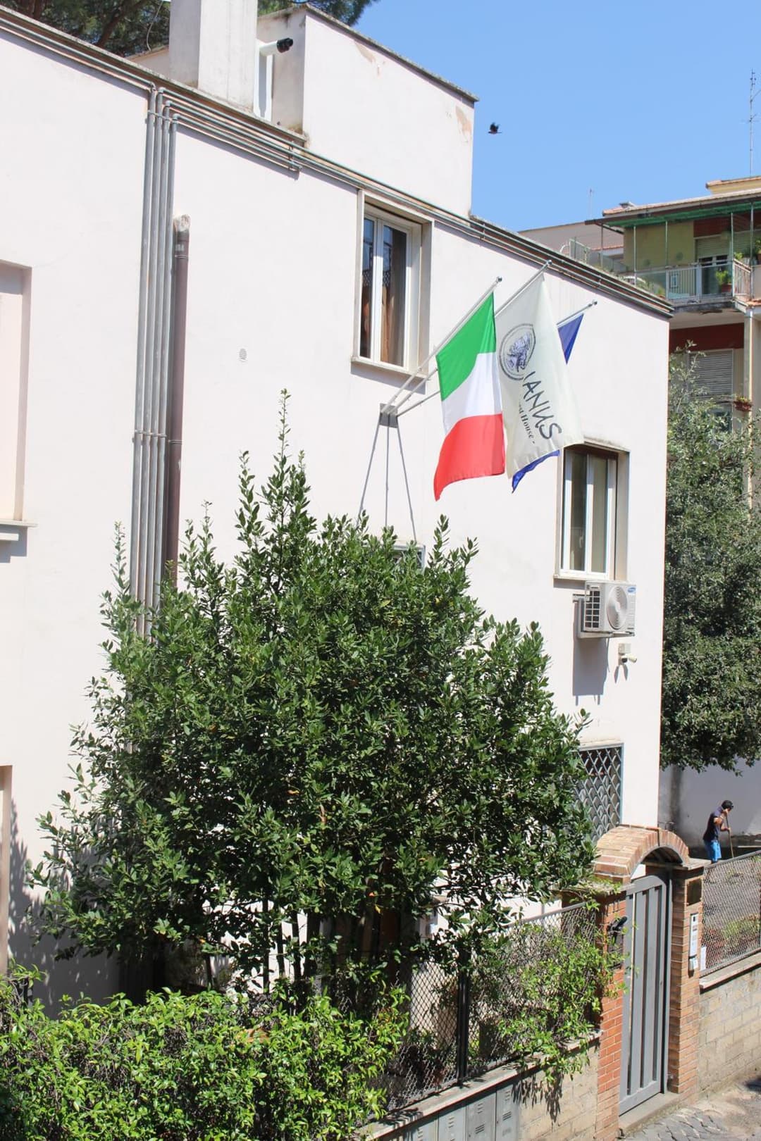 Ianus Guest House — photo 1 of 1