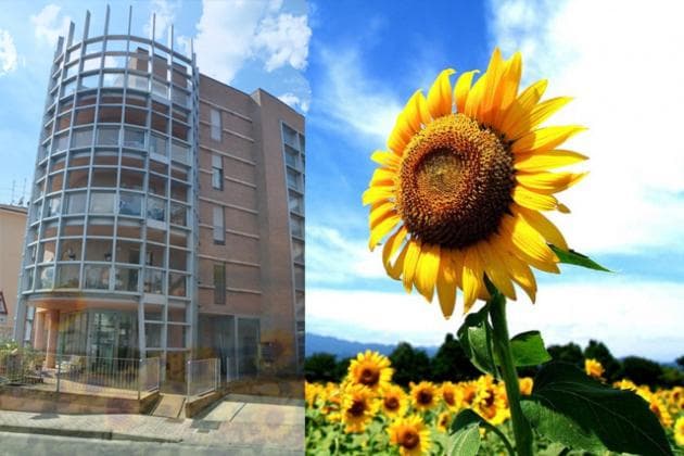 Casa dei girasoli — photo 1 of 1