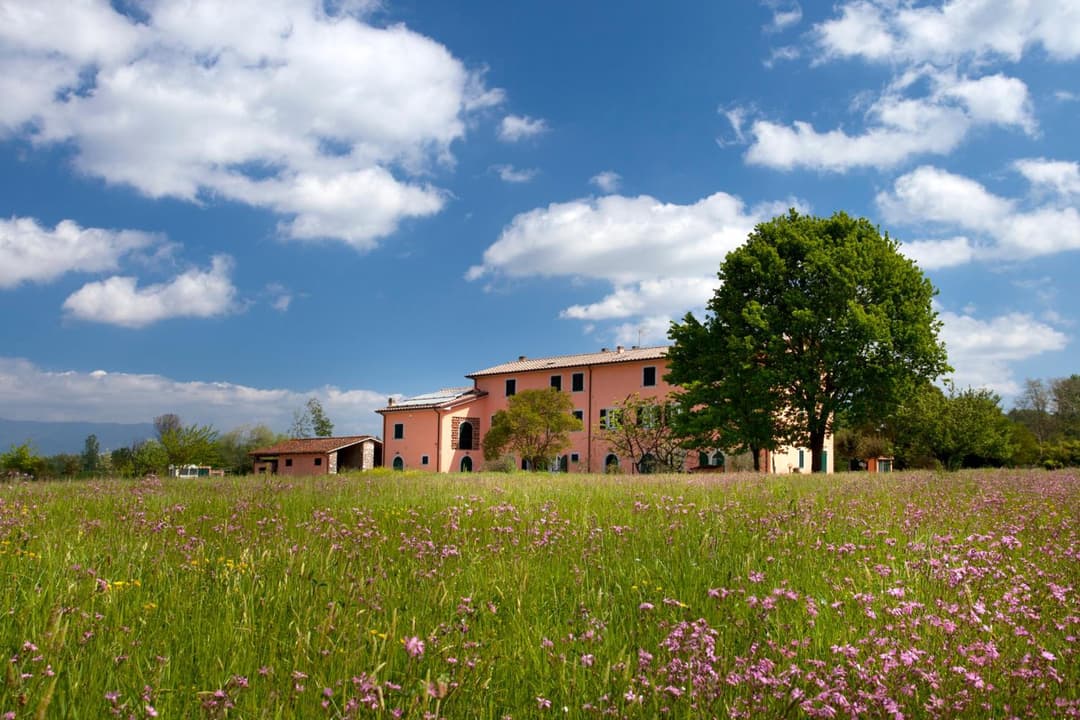 Tenuta San Giovanni Lucca — photo 1 of 1