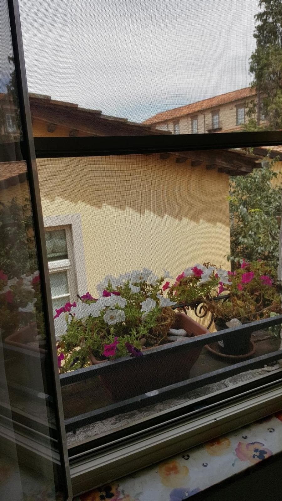 Mavi's bedrooms — photo 1 of 1