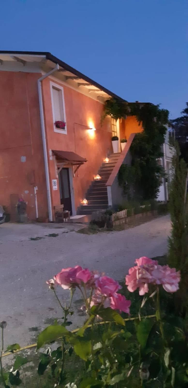 il glicine — photo 1 of 1
