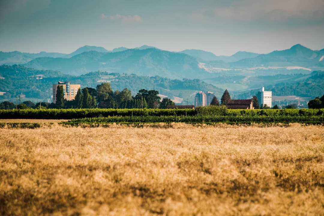 Agriturismo Podere Zampiera Vecchia - vicino Imola e Autodromo — photo 1 of 1