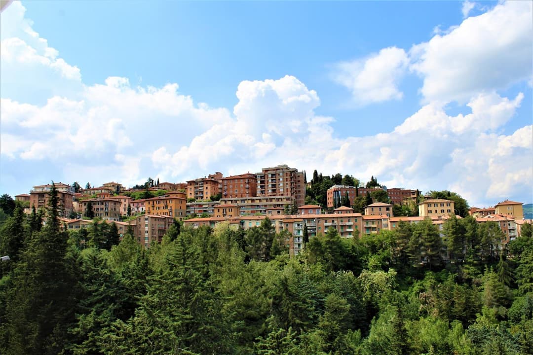 Ilgo Hotel — photo 1 of 44