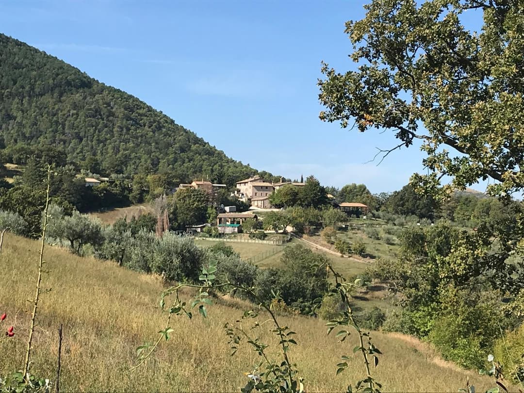 Agriturismo il Castello — photo 1 of 1