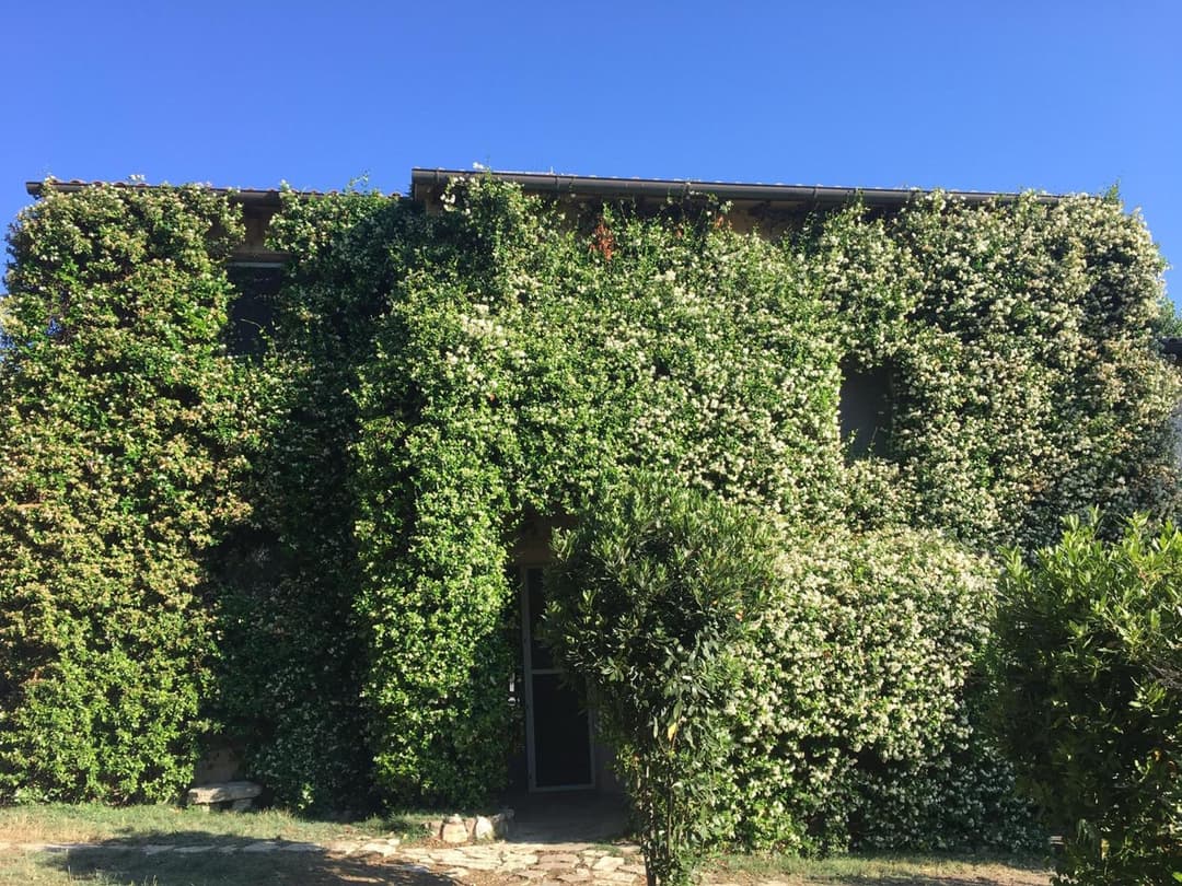 La Fratta Art - House — photo 1 of 1