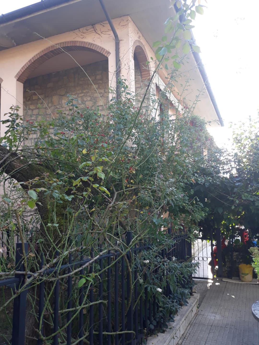 El Giardino delle Rose..... — photo 1 of 1