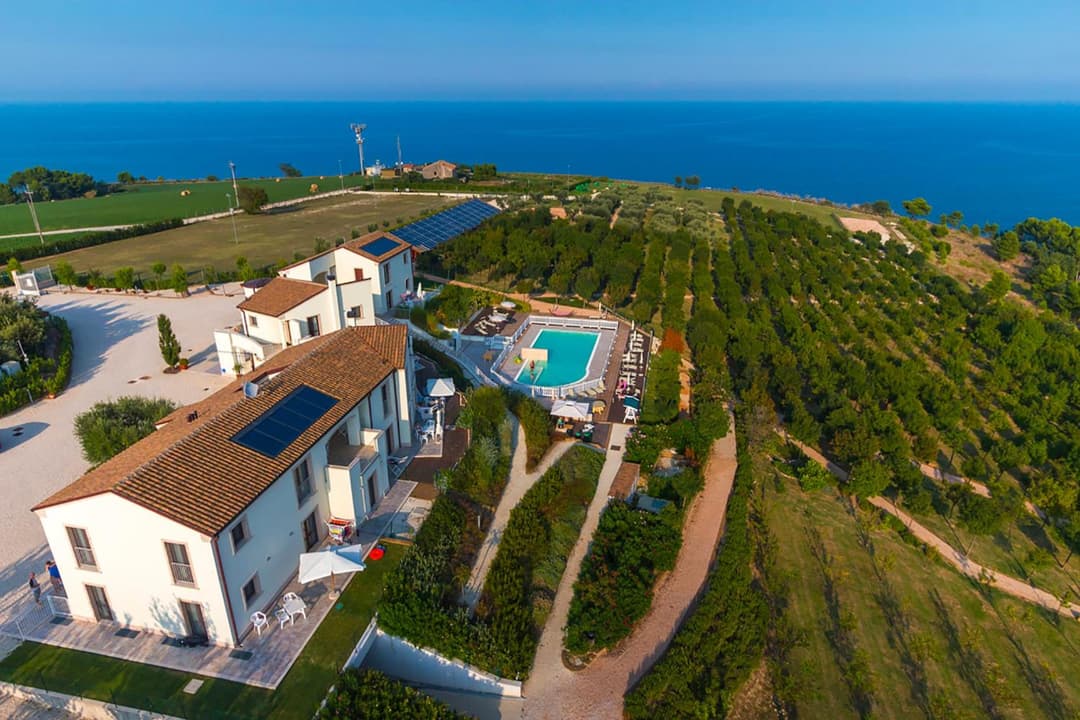 CONTEA DEI CILIEGI (official) — photo 1 of 1