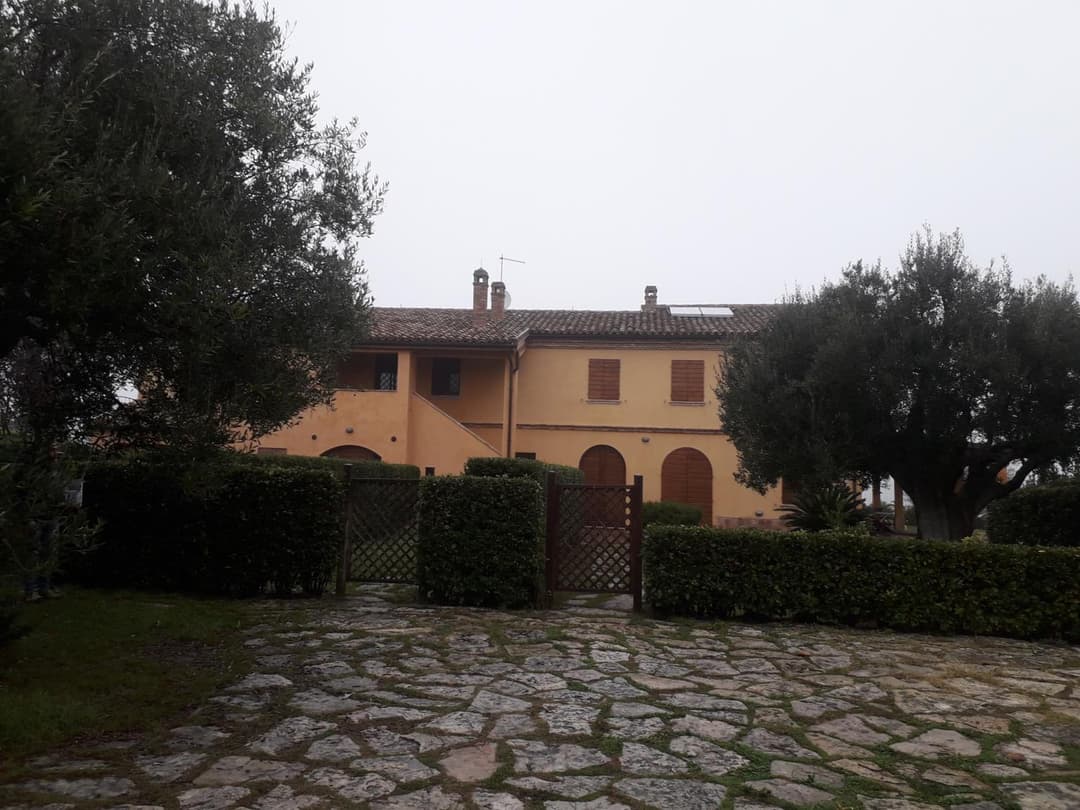 IMMERSA NEL VERDE — photo 1 of 1