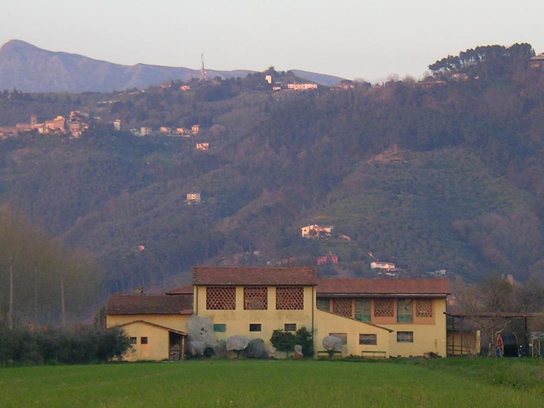 Il Chicco d'Oro — photo 1 of 77